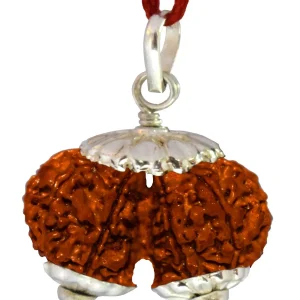 Gauri Shankar Rudraksha
